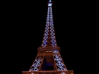 Paris 12-26-09 image 30